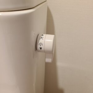 Flush_lever